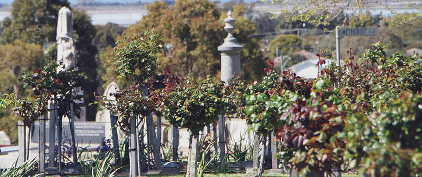 Geelong Cemeteries Trust Garden