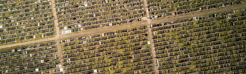 Aerial Image of Cemetery Graves in Rows