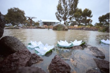 Pond in the Geelong Memorial Park Pregnancy and Infant Loss Garden