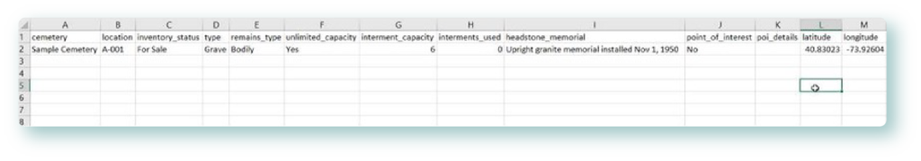 Screenshot of an Example Record in a Spreadsheet