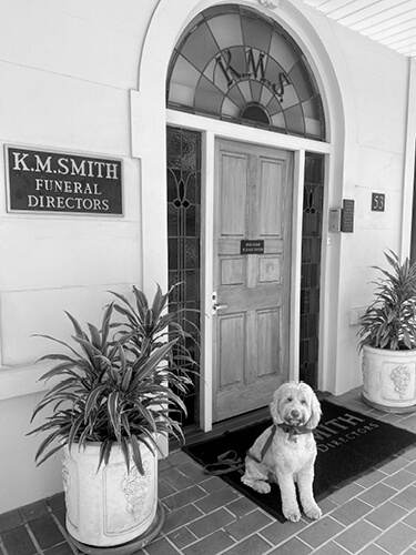 K.M. Smith Funeral Directors Grief Therapy Dog Archie in Front of Door