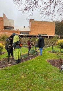 Image of Rose Pruning Workshop at Ballarat Cemetery