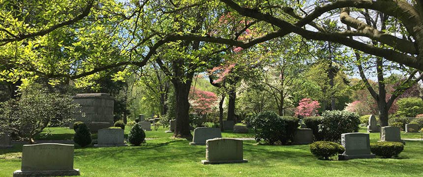 Newton Cemetery and Arboretum